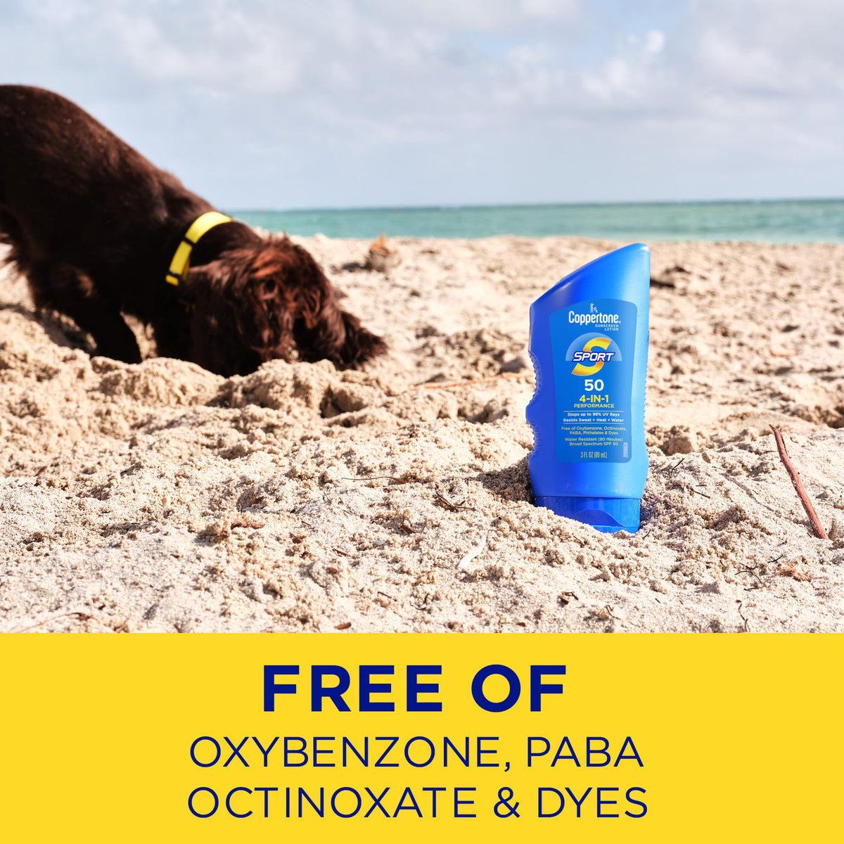 Close-up of Coppertone ingredients label showing oxybenzone-free formulation