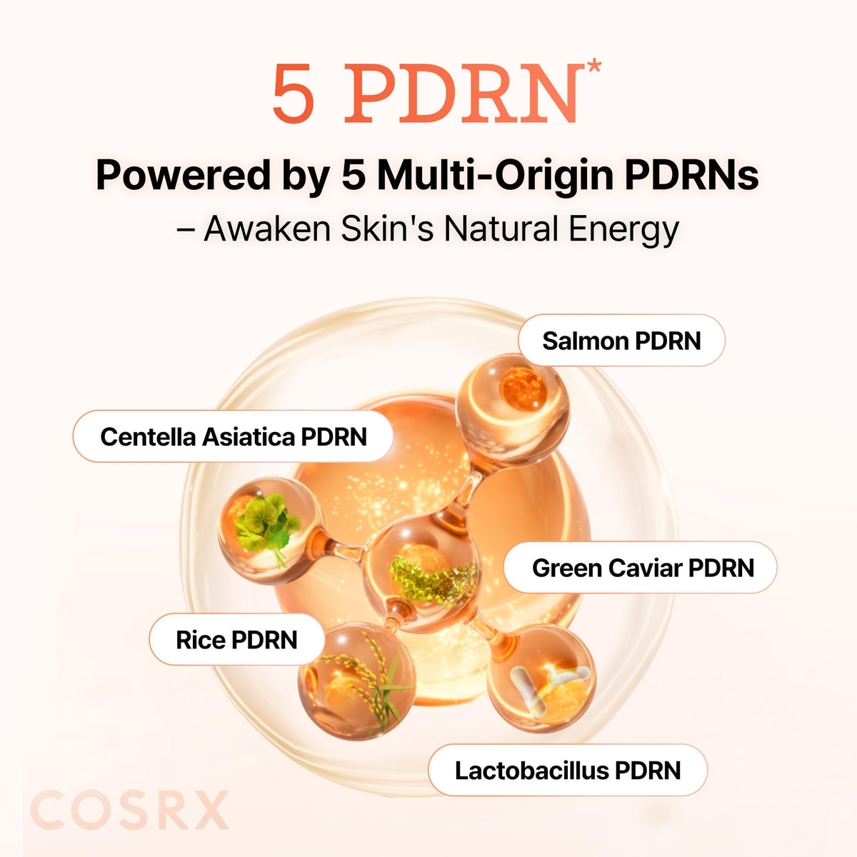 COSRX ingredient panel close-up highlighting five PDRN sources and collagen benefit for transparency
