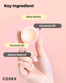 COSRX ingredients flatlay with shea butter and oils showing natural conditioning benefit