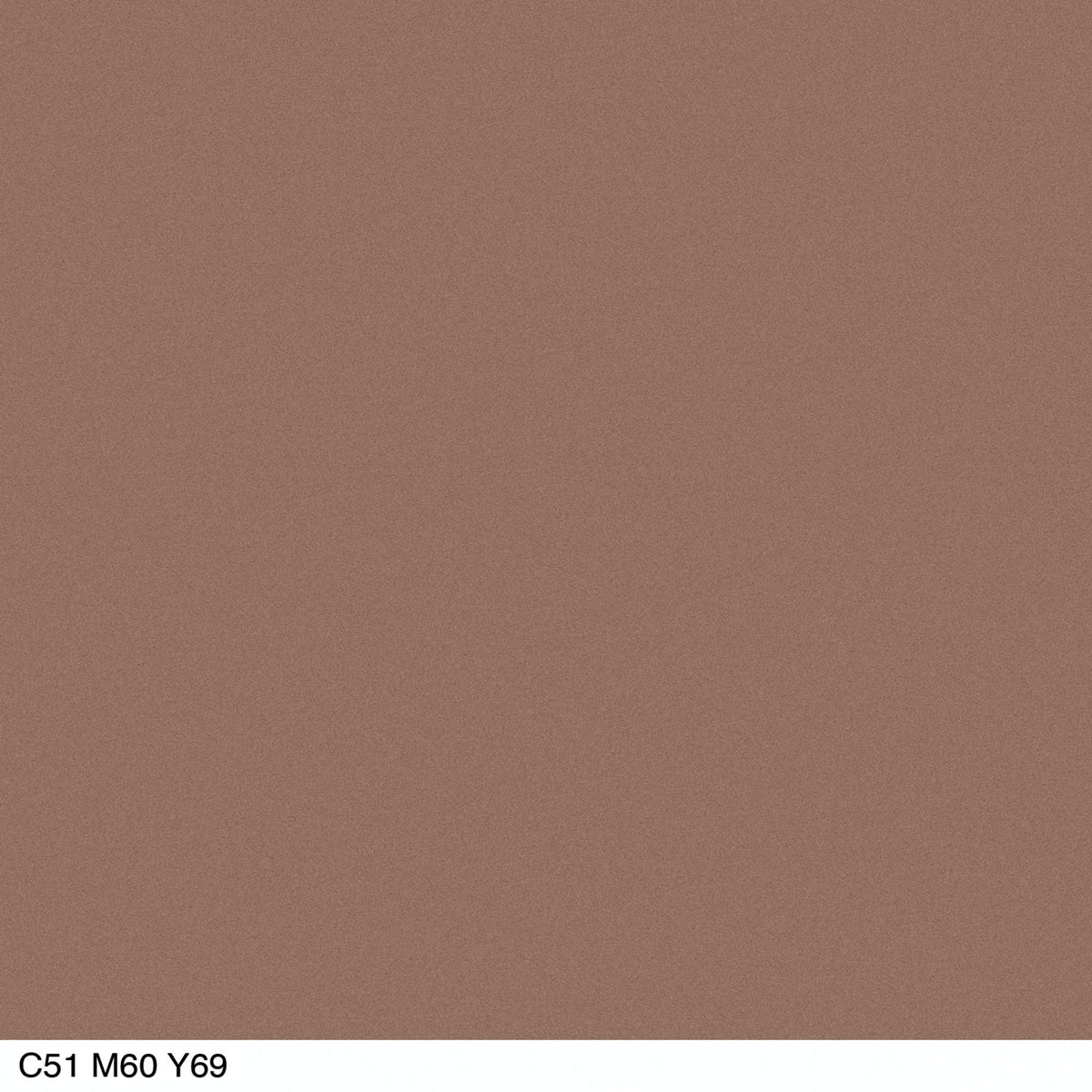 COVERGIRL model wearing a soft daytime eye look demonstrating flattering neutrals