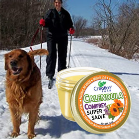 Creation Pharm calendula flowers close-up highlighting natural botanical benefit