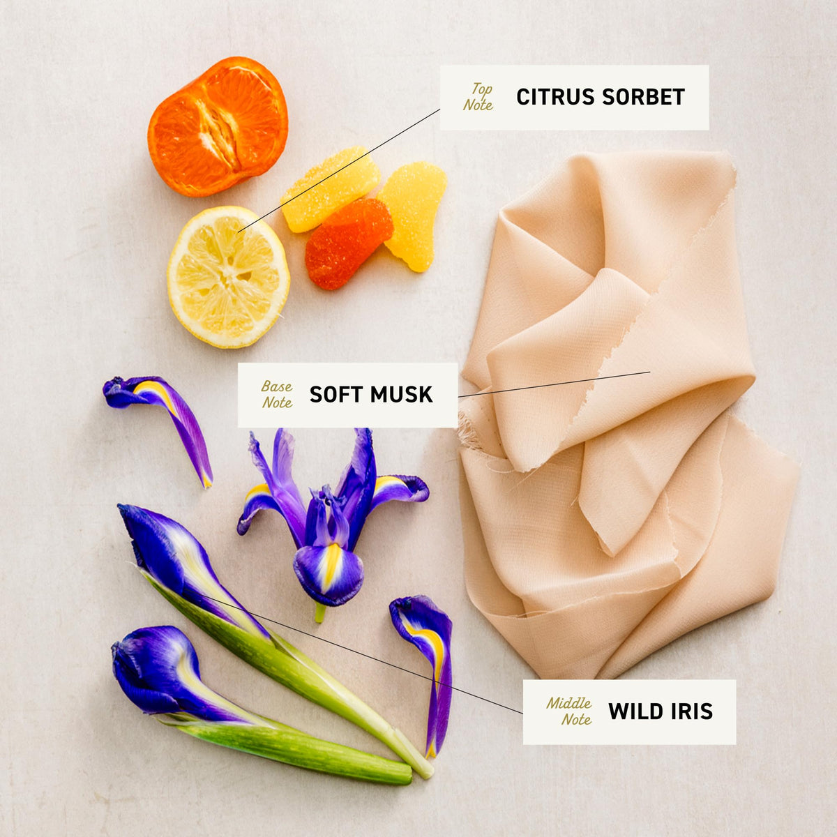Cremo closeup of ingredient label highlighting fragrance notes and formulation benefits