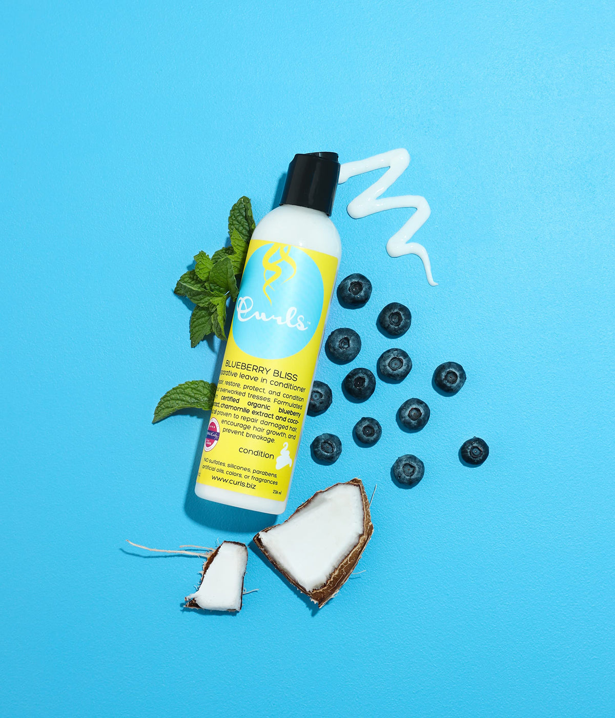 Curls Blueberry Bliss ingredient closeup with blueberries highlighting antioxidants