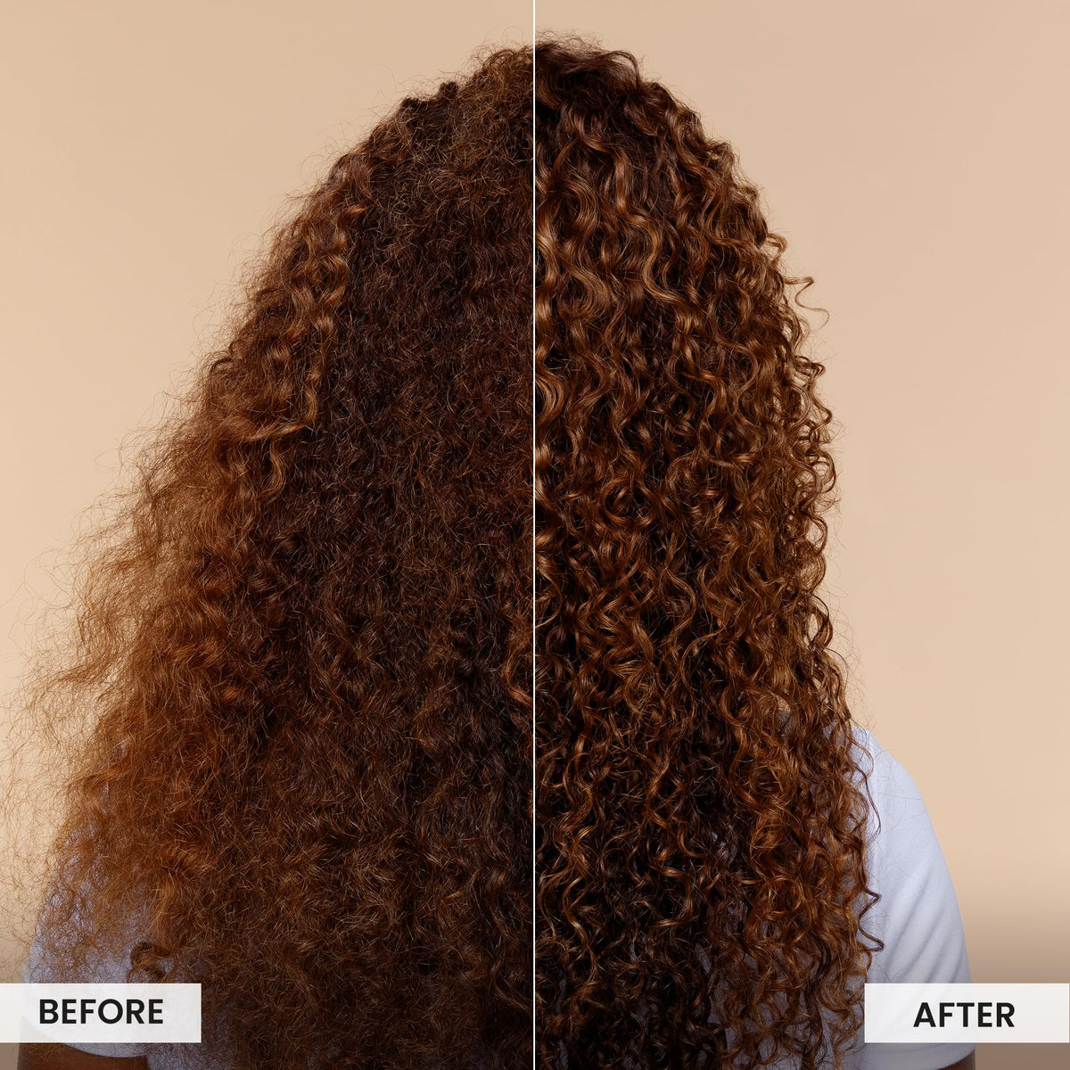 CURLSMITH Bonding Oil with olive close-up showing conditioning ingredient benefits