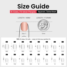 CurvLife size scale comparison with coin proving variety of sizes