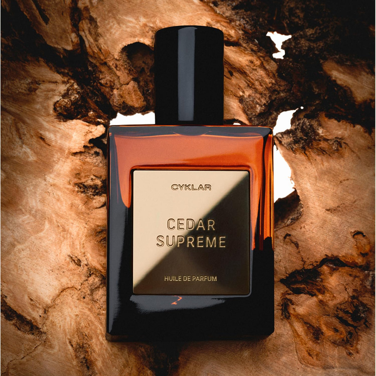 CYKLAR lifestyle shot of evening outfit with Cedar Supreme enhancing confidence