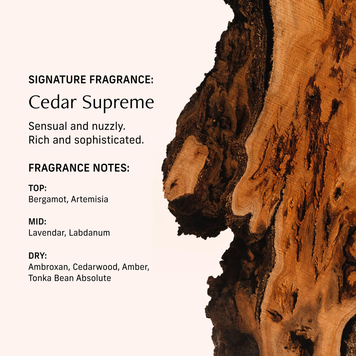 CYKLAR applying Cedar Supreme to wrist demonstrating targeted scent