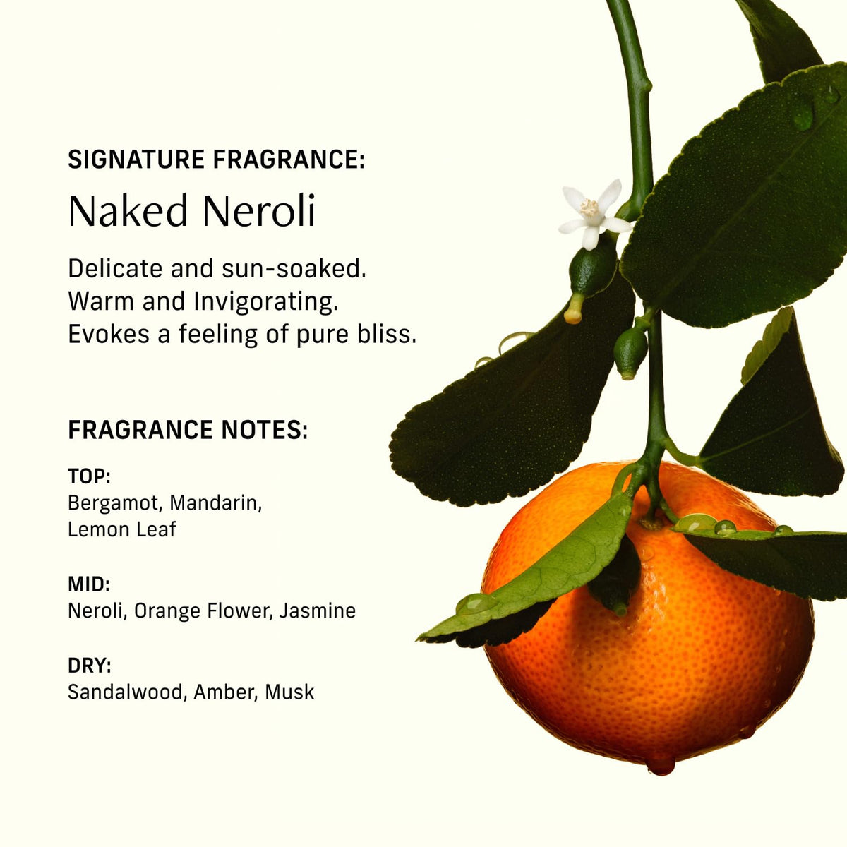 CYKLAR application on wrist at pulse point for long-lasting subtle fragrance