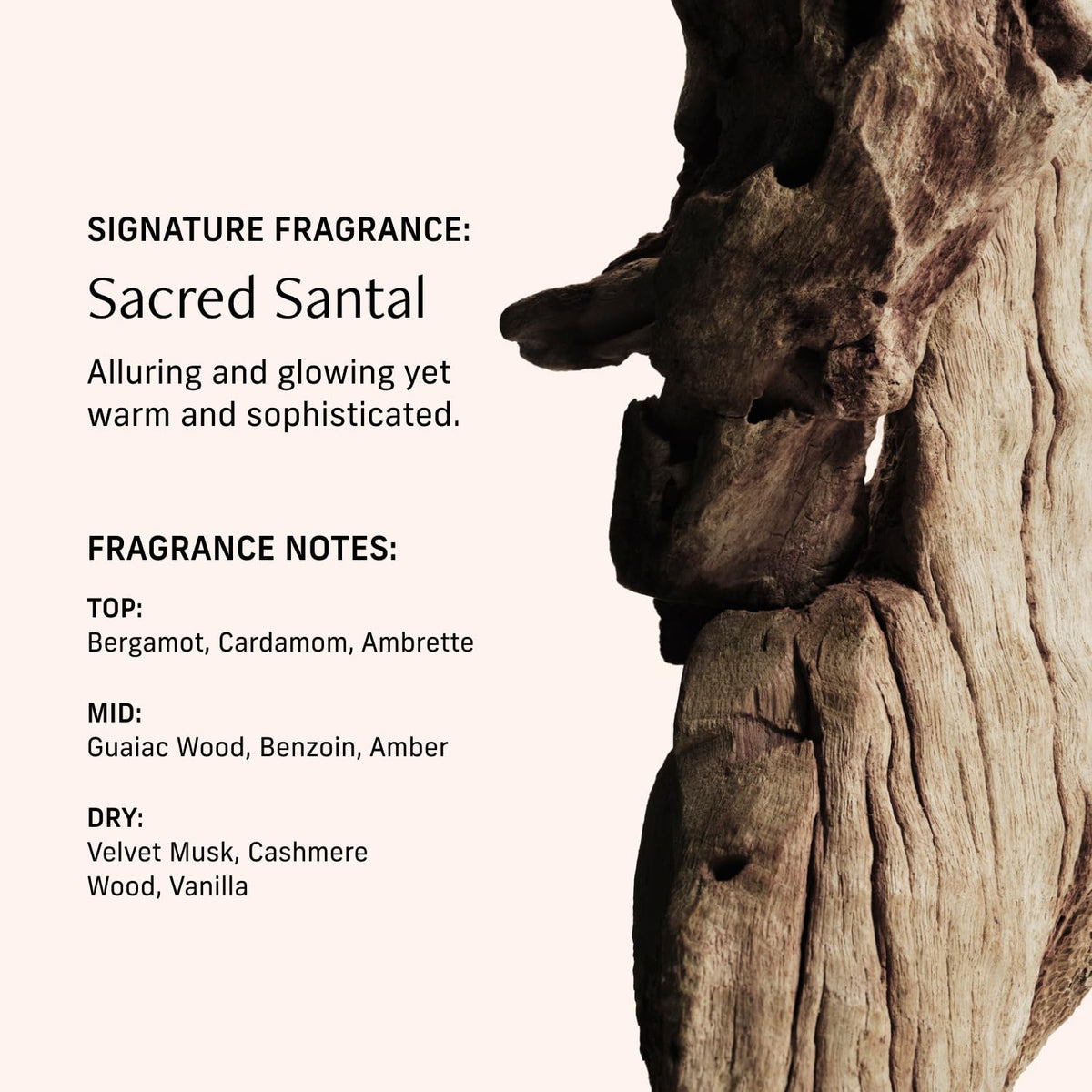CYKLAR Sacred Santal held in hand to show 15ml pocket-sized scale and portability