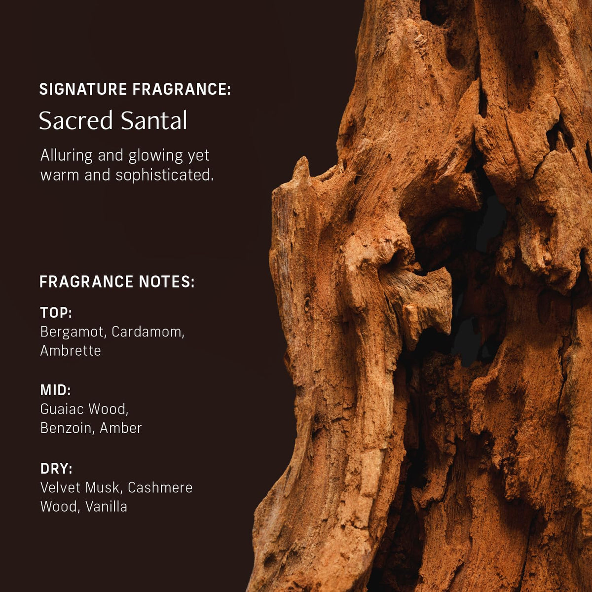 CYKLAR scattered multi-oil drops and botanicals illustrating nourishing oil complex