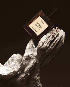 CYKLAR Sacred Santal oil texture on skin close-up showing smooth absorption benefit