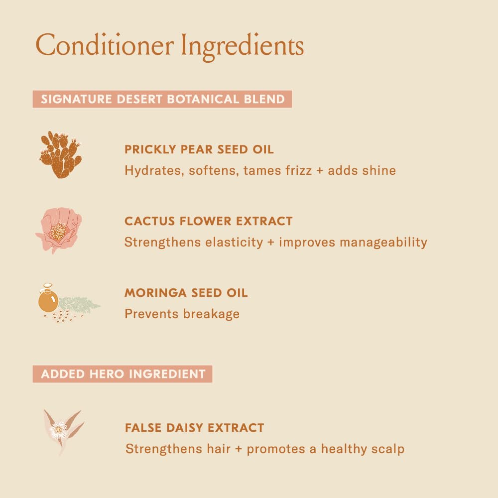 DAE bottle label detail showing key botanicals and clean ingredients