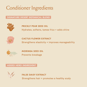 DAE bottle label detail showing key botanicals and clean ingredients