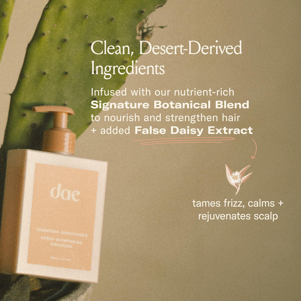 DAE product label showing key ingredients for nourishing benefits