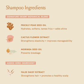 DAE shampoo in shower being used for effortless cleansing benefit