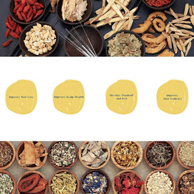 Daeng Gi Meo Ri close-up of Korean ginseng root demonstrating herbal potency