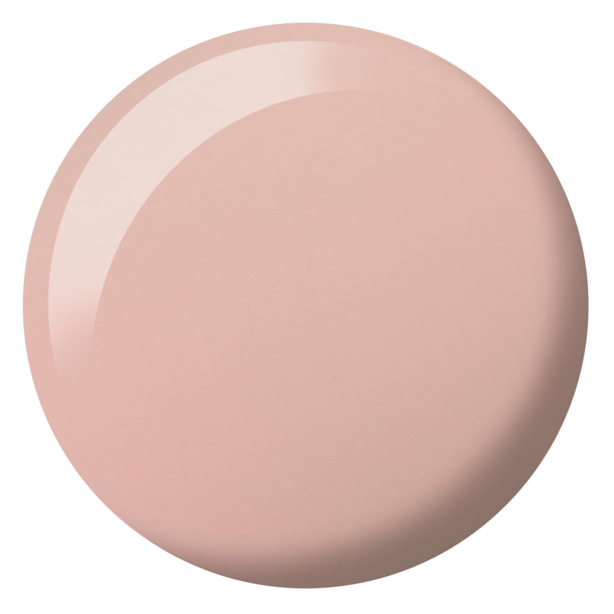 DAISY DND brush detail displaying smooth bristles for even application
