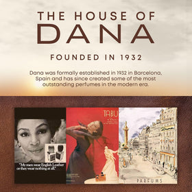 Dana soap styled in bathroom setting showing gift-ready presentation benefit