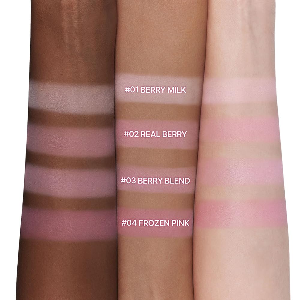 dasique open palette displaying four berry shades for versatile looks