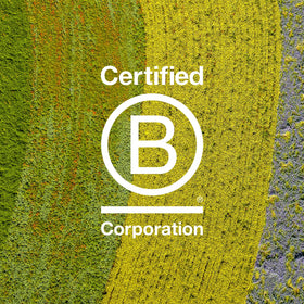 Davines LOVE Curl after dry defined curls showing improved bounce and shape