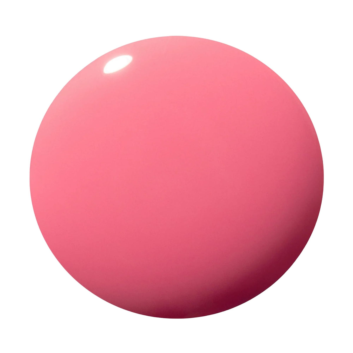 Dazzle Dry cap and brush detail enabling smooth precise application benefit