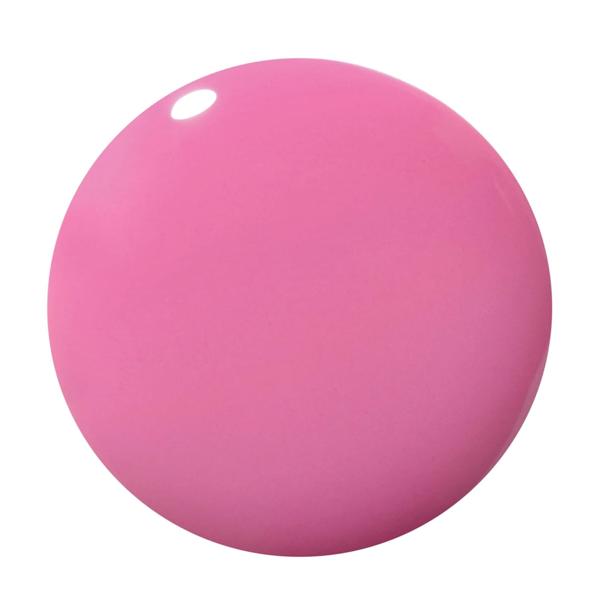 Dazzle Dry brush close-up demonstrating smooth applicator and precise coverage benefit