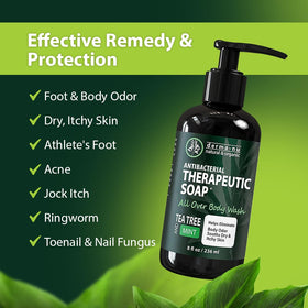 Derma-Nu ingredient botanicals display with tea tree and aloe for natural benefit
