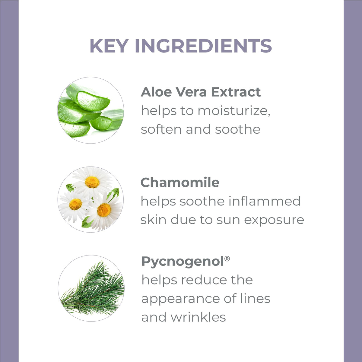 Derma E close-up cream texture displaying quick absorption benefit