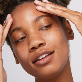 Dermalogica ingredient highlights featuring green tea and mushroom complex benefits