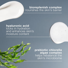 Dermalogica label ingredients detail showcasing key actives for barrier support