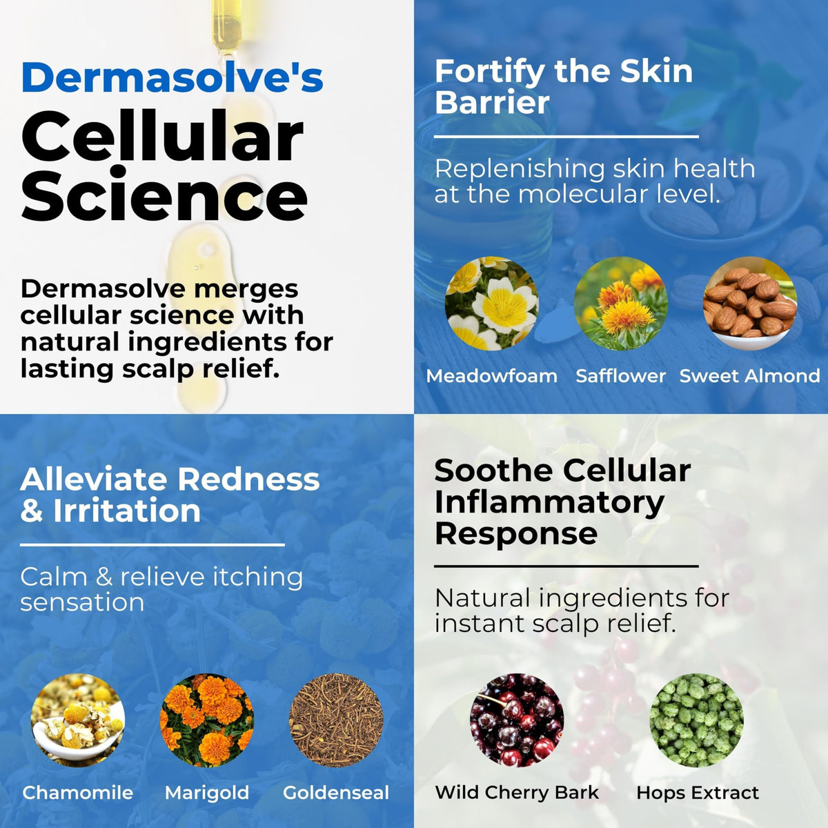 Dermasolve being applied to scalp to reduce itch and soften flakes