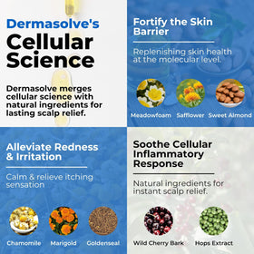 Dermasolve before and after scalp view demonstrating reduced flakes and smoother skin