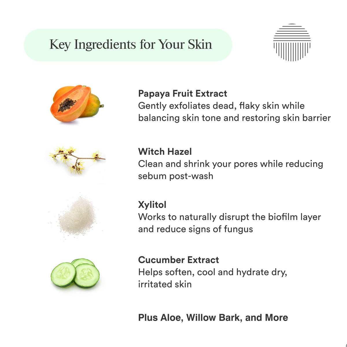 Dermazen ingredient panel showing botanical and enzyme components