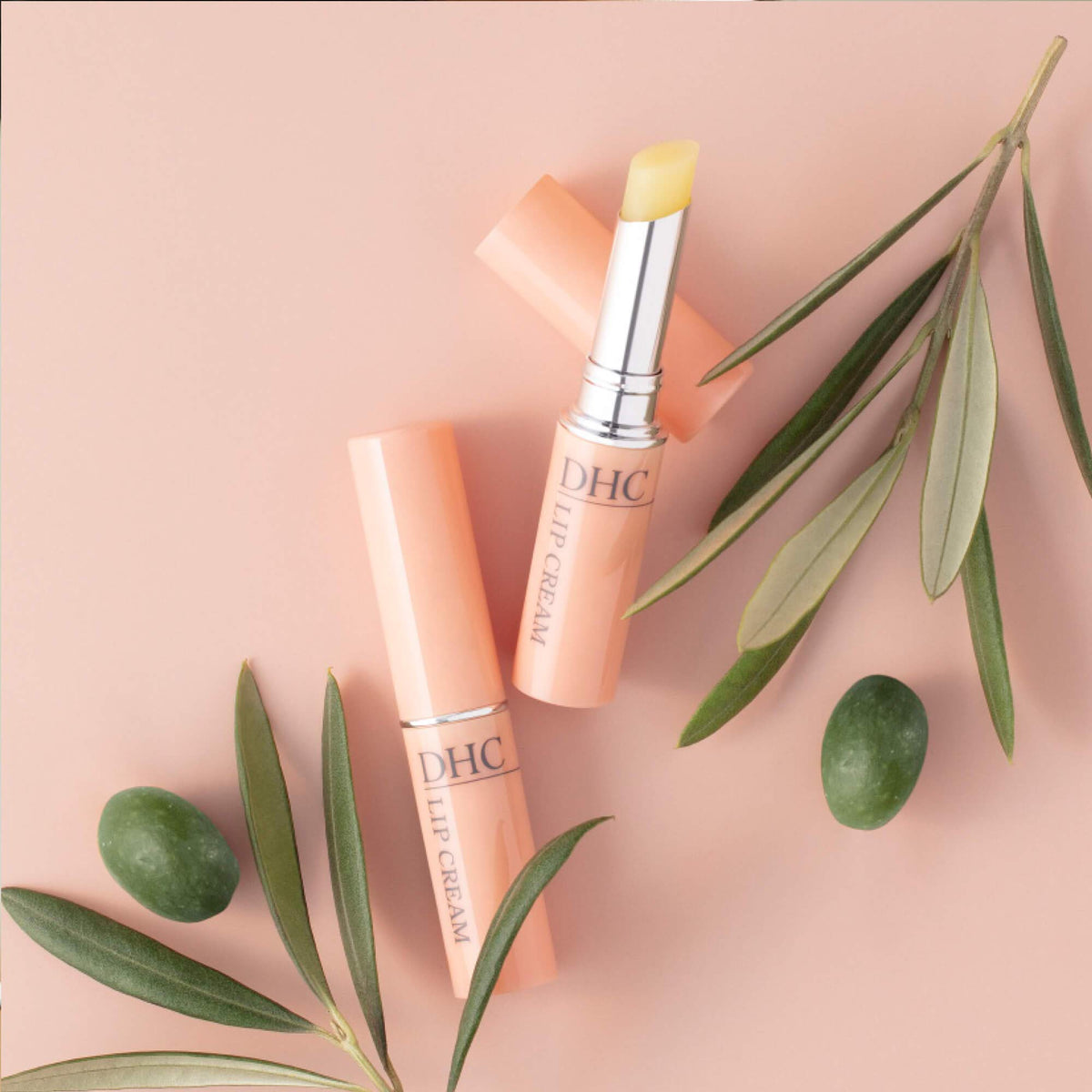 DHC Lip Cream closeup ingredients label highlighting botanicals and benefits