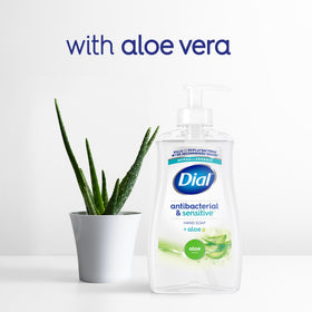 Dial 11 fl oz bottle next to common items for size comparison