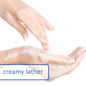 Dial soap on bathroom counter in lifestyle scene for fresh scent benefit