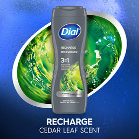 Dial Men with cedar leaf sprig representing fresh woody scent that lasts