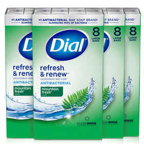 Dial Mountain Fresh front packaging showing brand and antibacterial claim for reliable cleansing