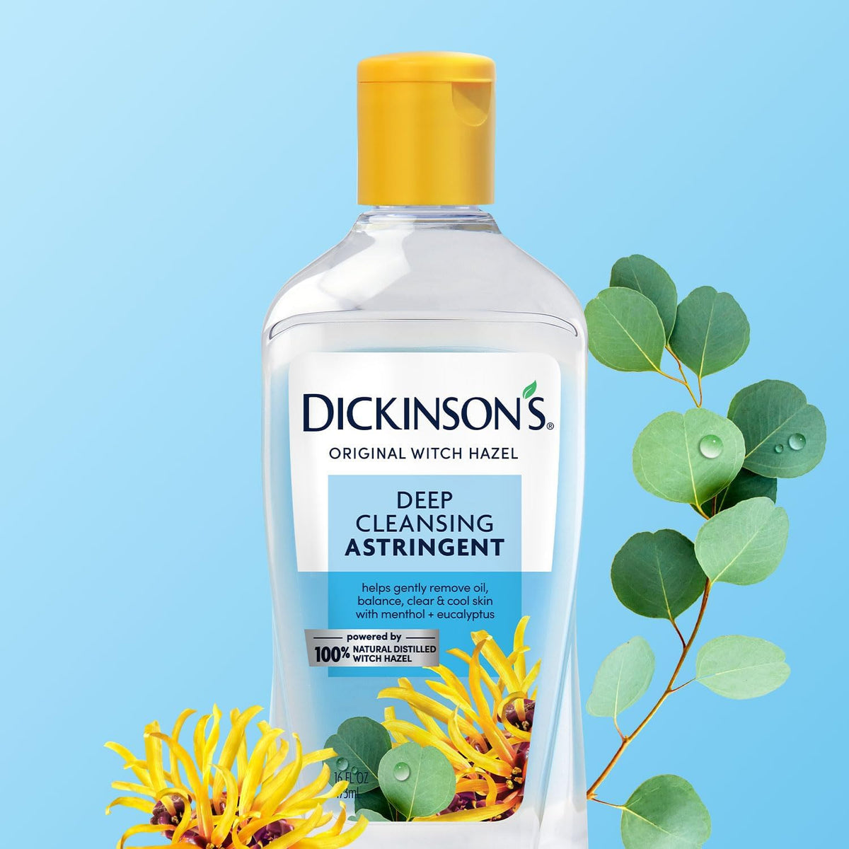 dickinson's size comparison in hand demonstrating 16 fl oz scale
