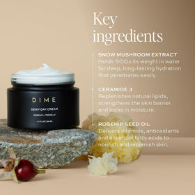DIME Dewy Day Cream with rosehip oil bottle highlighting antioxidant benefits