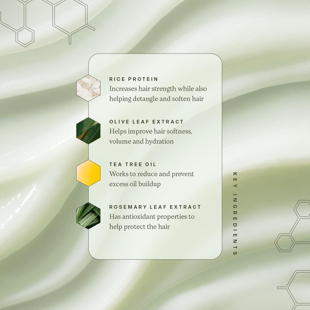 Divi bottle next to olive leaf and rice protein showing natural ingredients