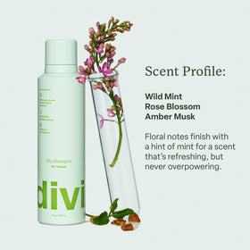 divi nozzle close-up precise spray for targeted oil absorption