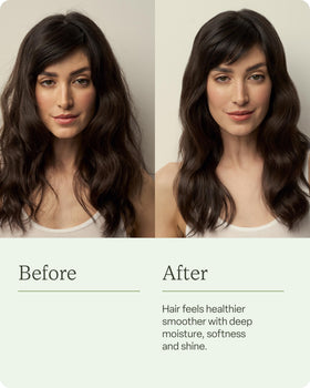 Divi with jojoba seed oil visual emphasizes nourishment and added shine