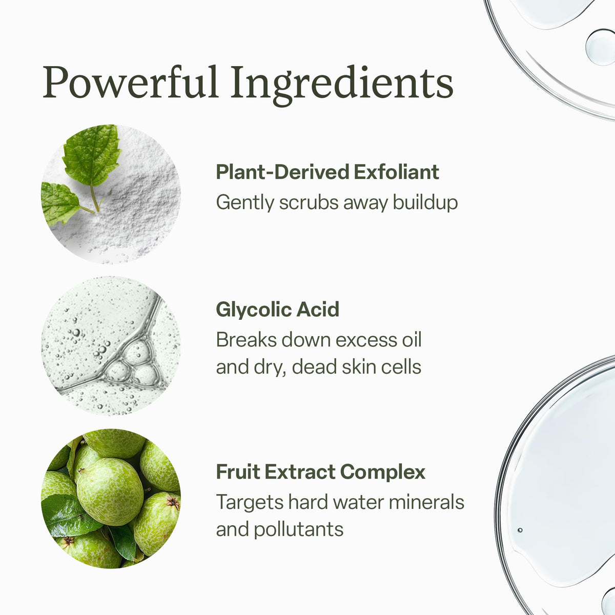 Divi ingredients lineup with botanicals showcasing natural exfoliation support