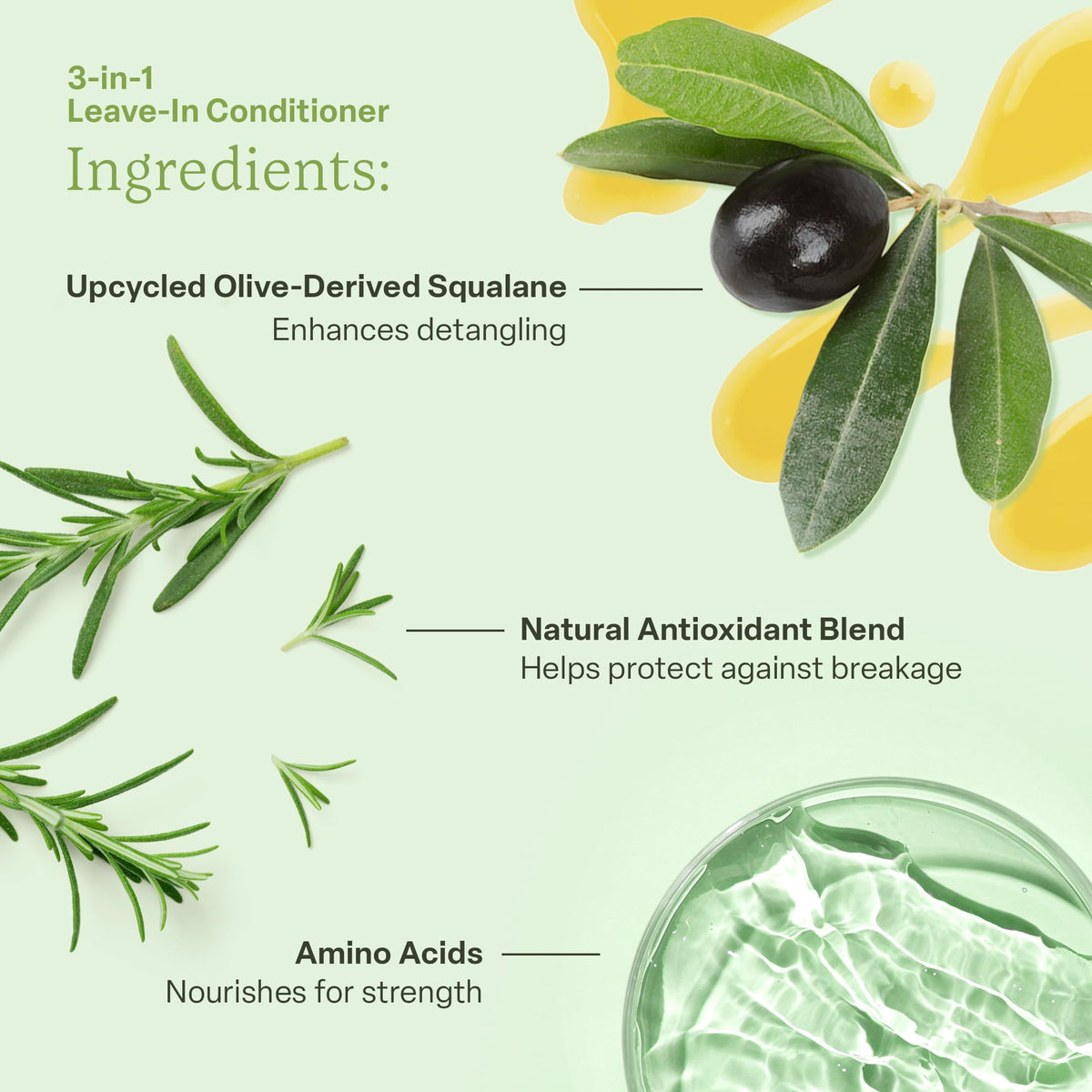 Divi ingredient squalane visual highlighting olive-derived moisturizer benefit