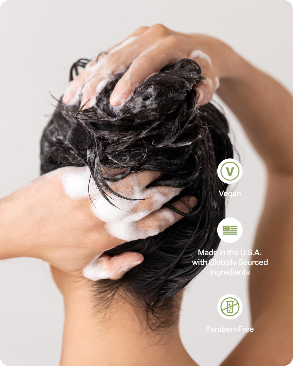 divi natural ingredients display with olive leaf and rosemary for strengthening