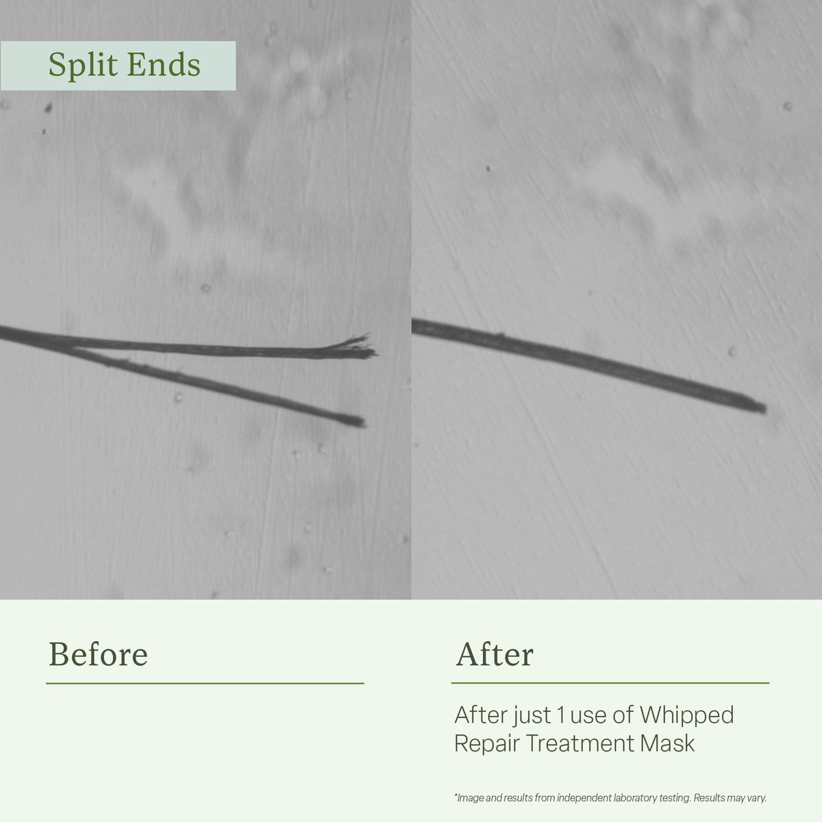 Divi ingredient label close-up showing formulation transparency benefit