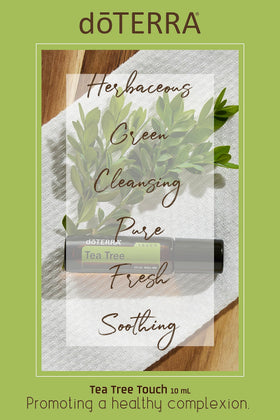 doTERRA Melaleuca Touch applied to skin showing targeted soothing benefit