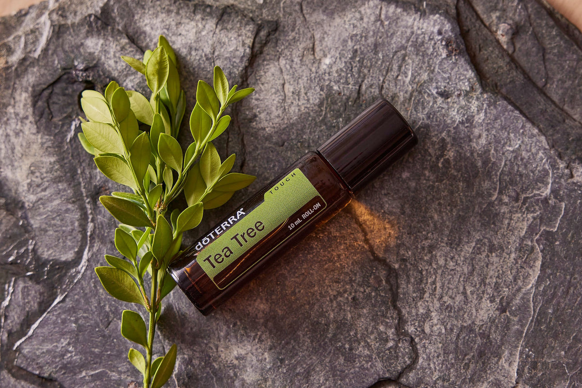 doTERRA Melaleuca Touch rollerball detail illustrating smooth, precise application