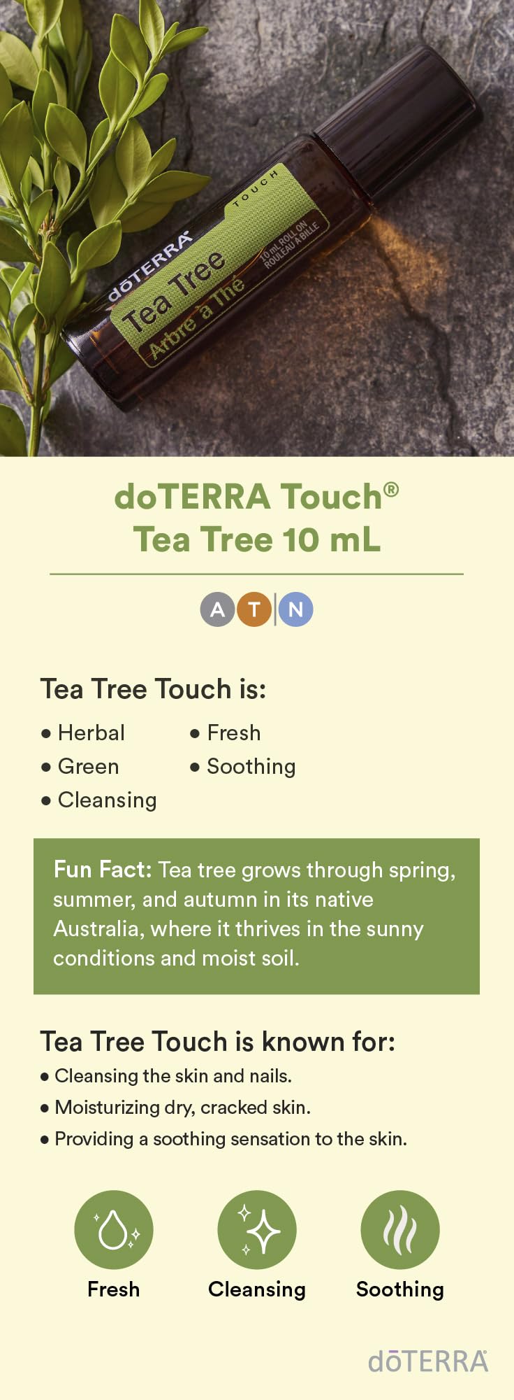 doTERRA Melaleuca Touch oil texture close-up highlighting gentle fractionated coconut base